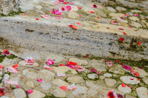 Pink pelargonium petals on the brick stairs photo