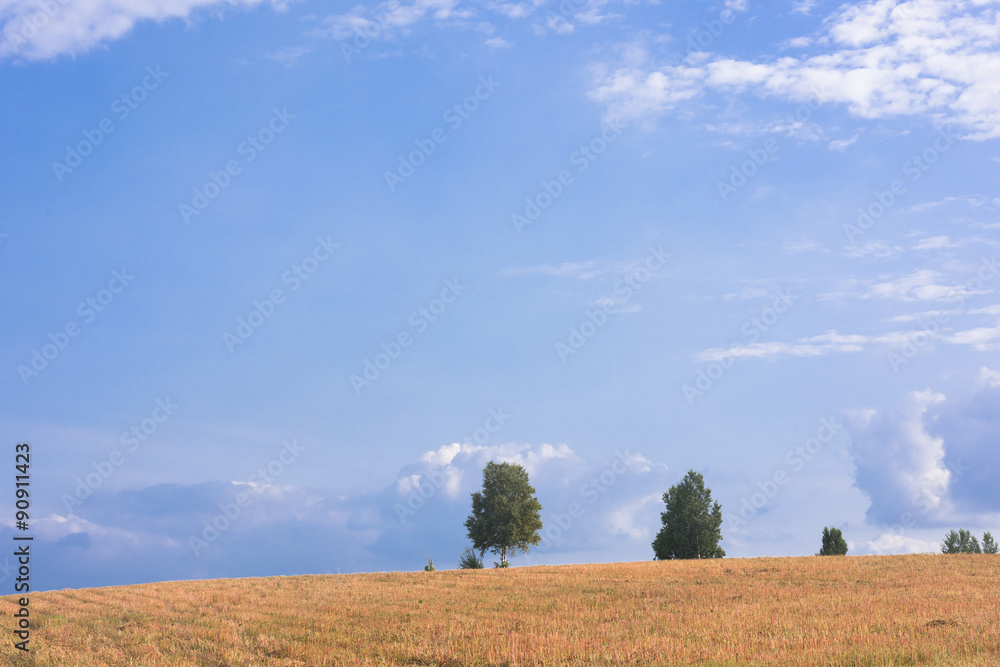 Fototapeta premium 秋色の美瑛の田園風景
