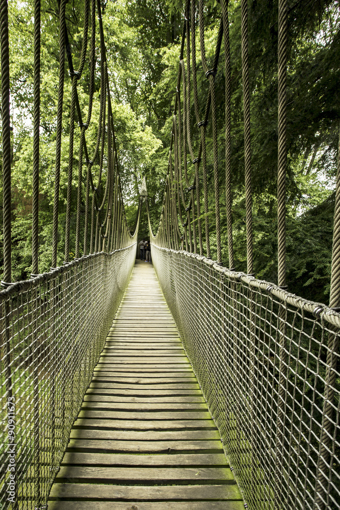 Obraz premium most linowy