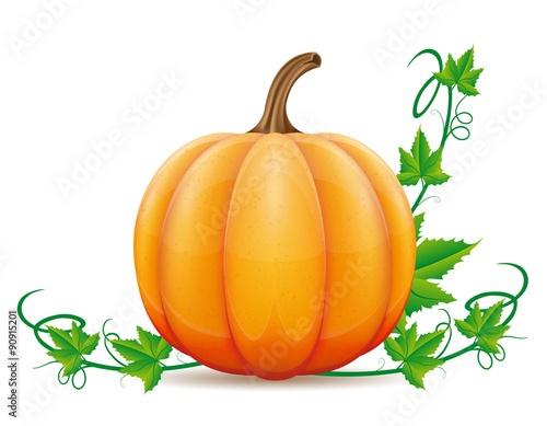 pumpkin and leaf vector illustration