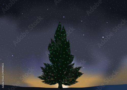 Paysage Sapin Ciel etoiles
