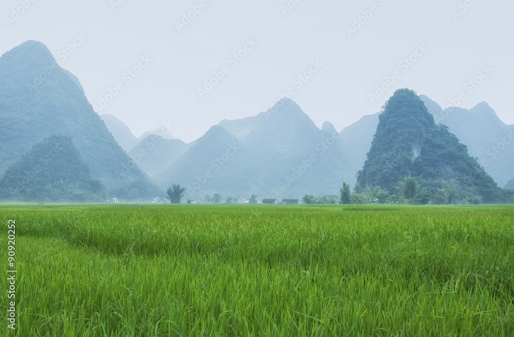Peaceful countryside landscape in the northern of Vietnam