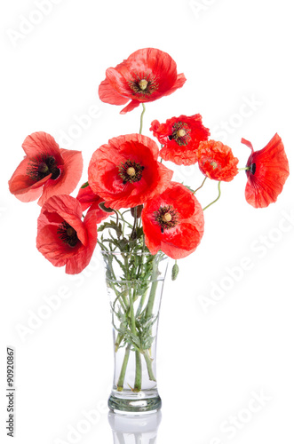 Fototapeta Naklejka Na Ścianę i Meble -  Bouquet of poppies in glass vase isolated on white background