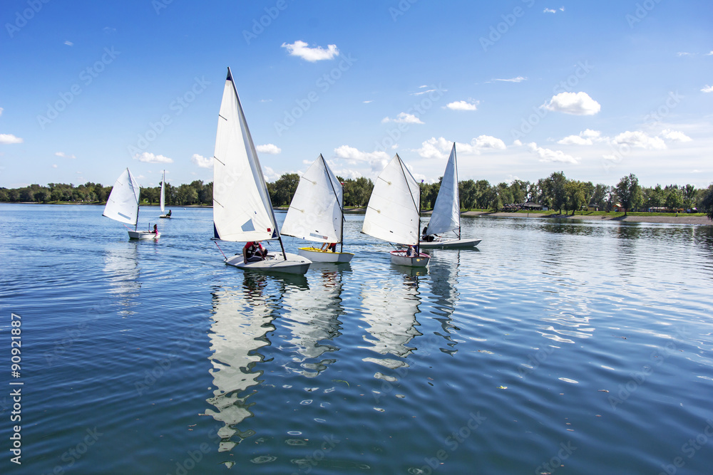 Naklejka premium Sailing on the lake