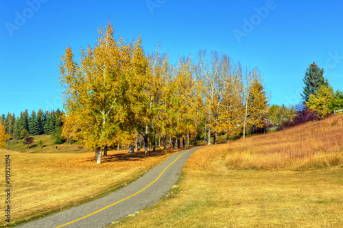 Autumn Park Fall Landscape 