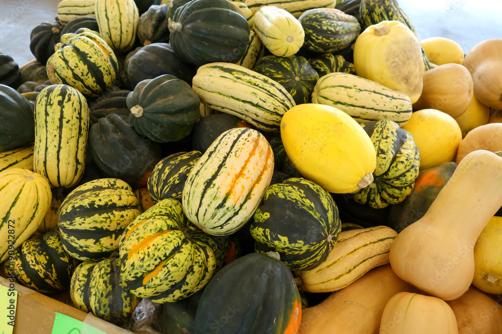 assortment of melons and squash at market