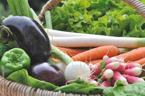 légumes frais dans panier