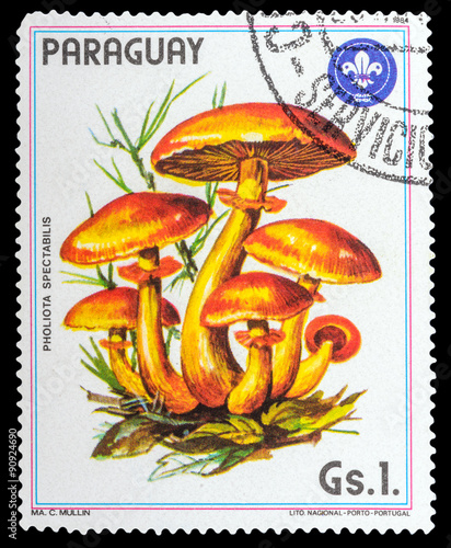 PARAGUAY - CIRCA 1984: a stamp printed in the Paraguay, shows mushrooms PHOLIOTA SPECTABILIS, series mushrooms, circa 1984