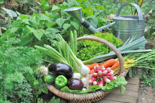 panier de légumes frais dans potager