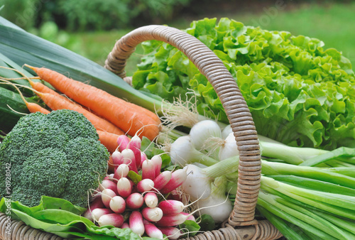 panier de légumes frais dans potager