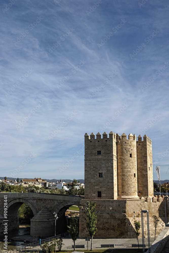 Obraz premium ciudades monumentales de Andalucía, Córdoba