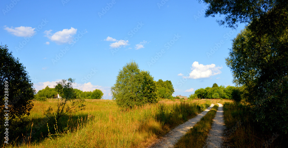 Obraz premium Летние пейзажи Брянщины 