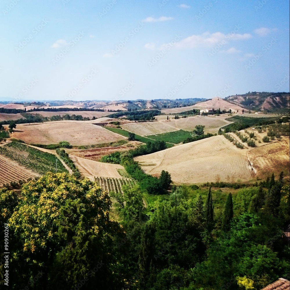 Hills near Certaldo, Tuscany