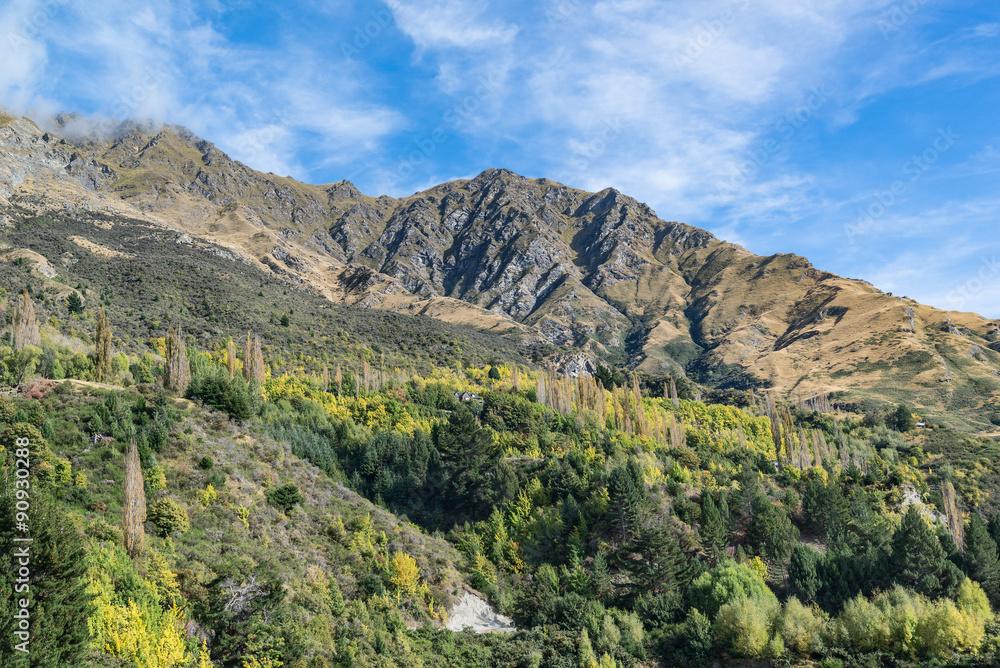 Natural forest hill in Queenstown, South Island New Zealand