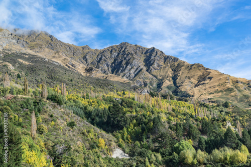 Natural forest hill in Queenstown, South Island New Zealand