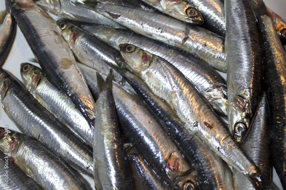 Fototapeta premium anchoas