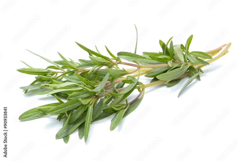 Fototapeta premium Tymianek świeże zioła na białym tle
