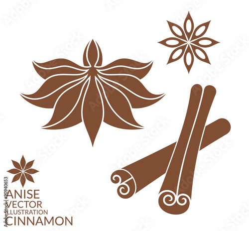 Cinnamon. Anise. Isolated leaves on white background