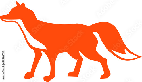 Red fox