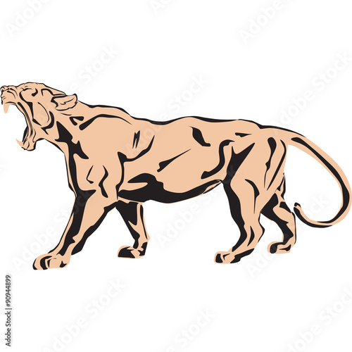 Vector illustration of a big lion