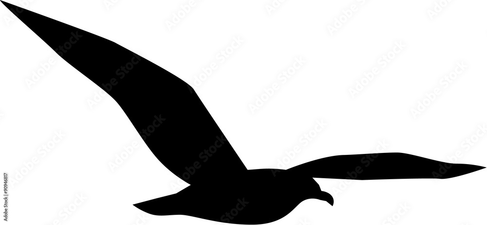Fototapeta premium Simple seagull flying