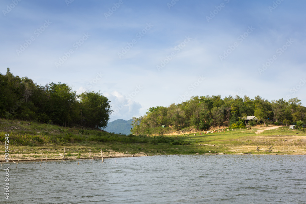 river and forest