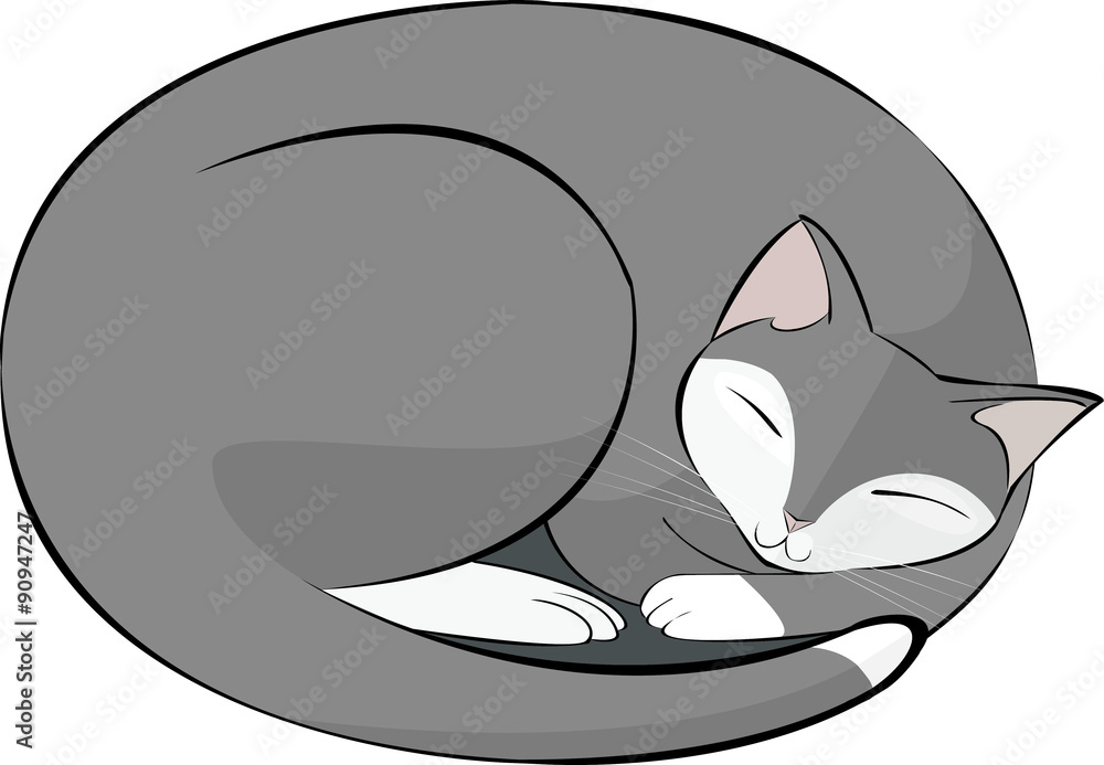 gatto dormiente bianco grigio Stock Vector | Adobe Stock