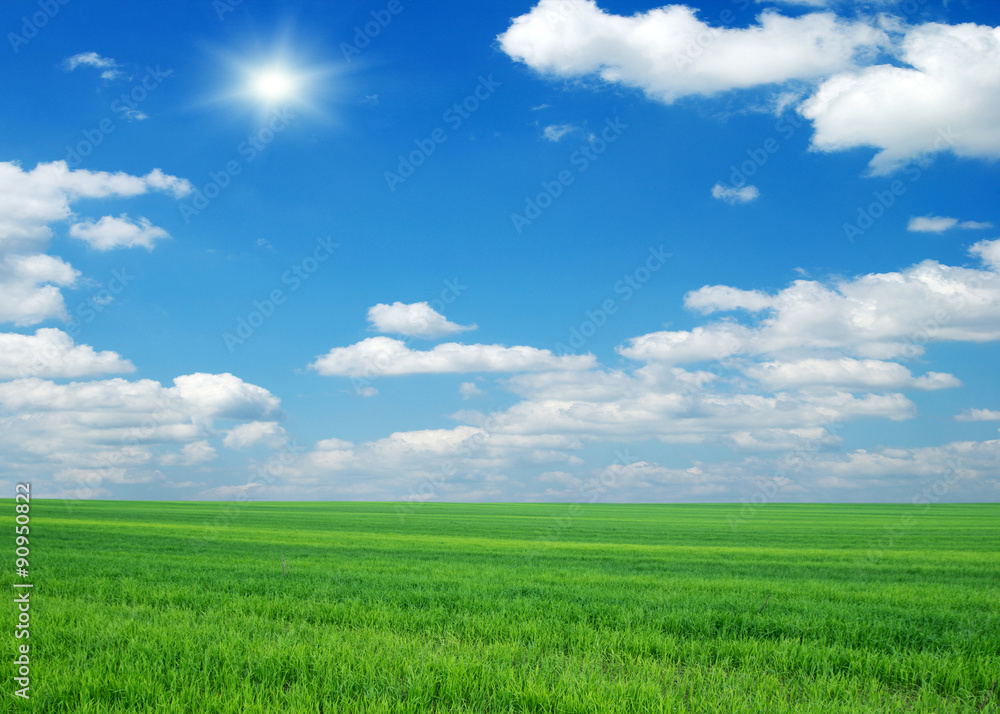 Green field, blue sky and sun