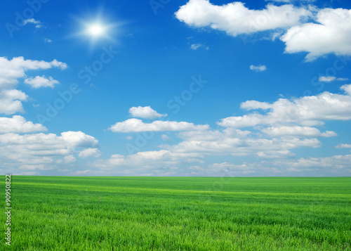 Green field  blue sky and sun