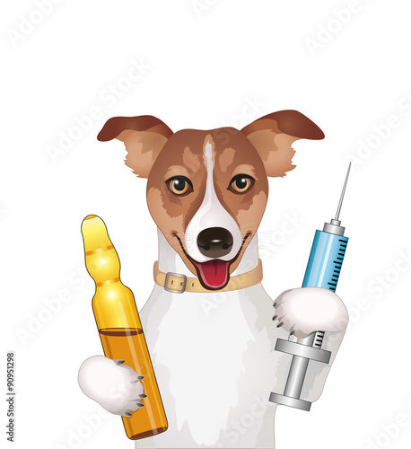 Dog with syringe and ampoule
vector illustration isolated on white background
