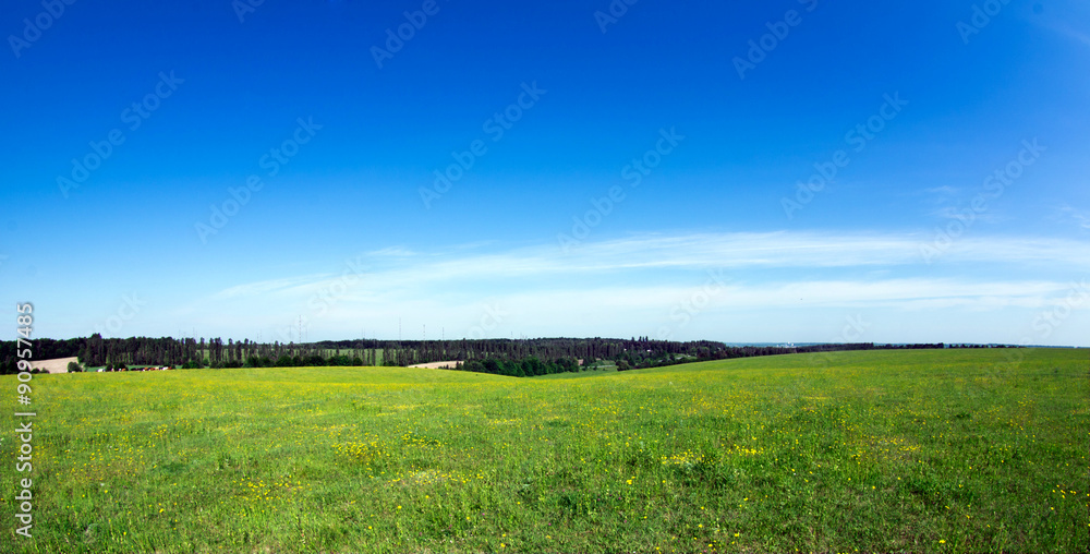 Field Field