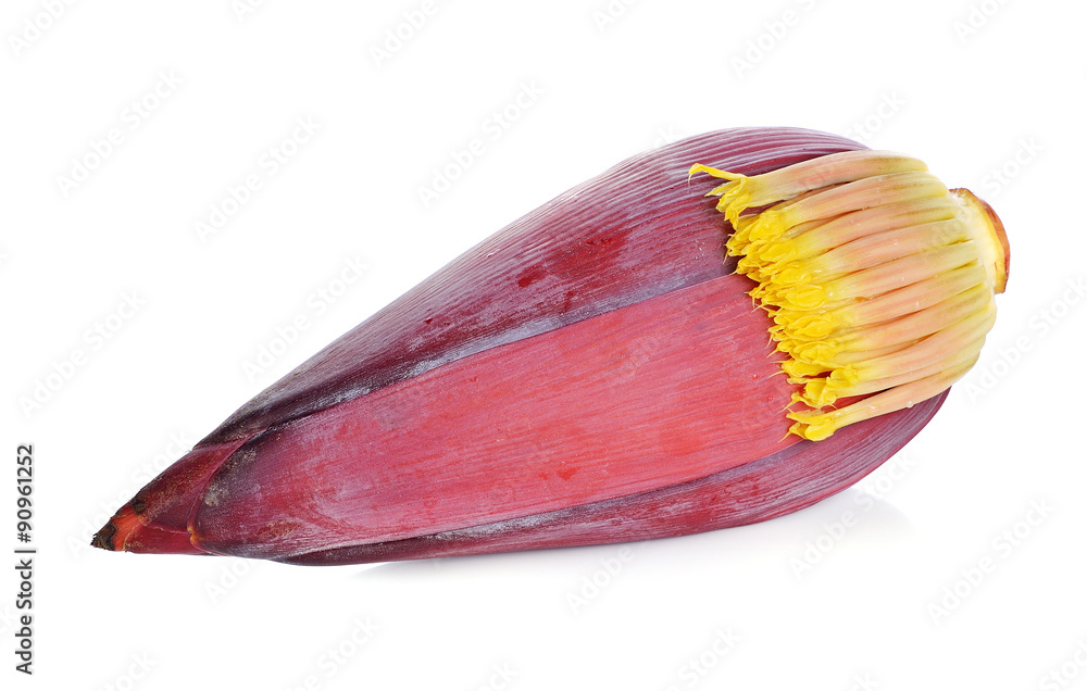 Banana blossom isolated on white background Banana blossom isolated on white background