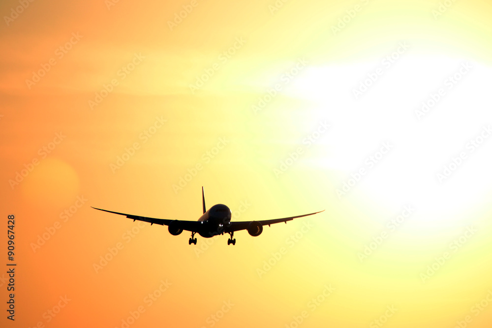 Fototapeta premium Plane