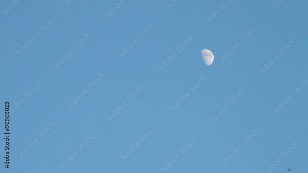Flocks of ducks and geese flying passed the moon. Flocks of ducks and geese flying passed the moon.