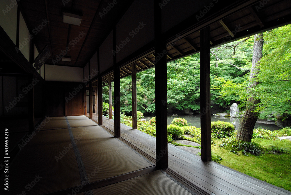 Fototapeta premium 日本の庭