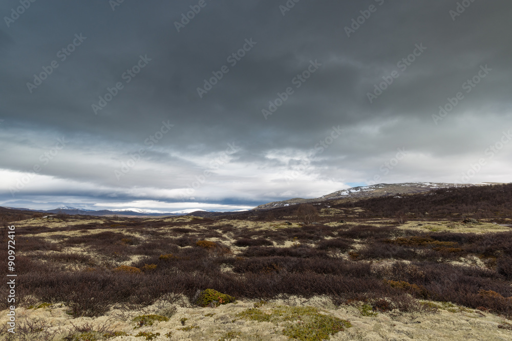 Dovrefjell–Sunndalsfjella National Park Dovrefjell–Sunndalsfjella National Park