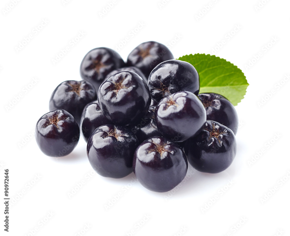 Aronia in closeup Aronia in closeup