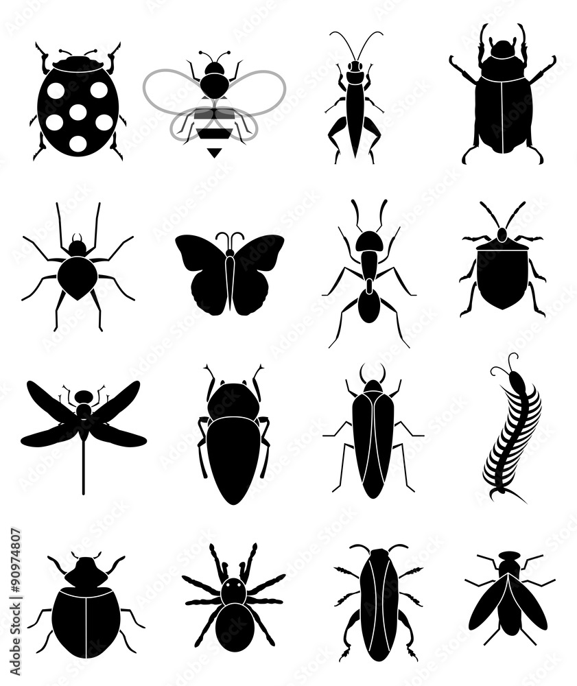 Insects bugs icons set Insects bugs icons set