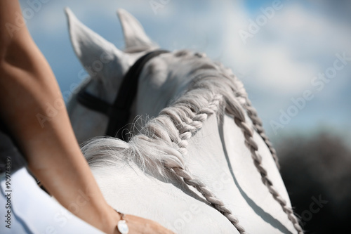 Fototapeta Naklejka Na Ścianę i Meble -  Andalusian horse. Braids
