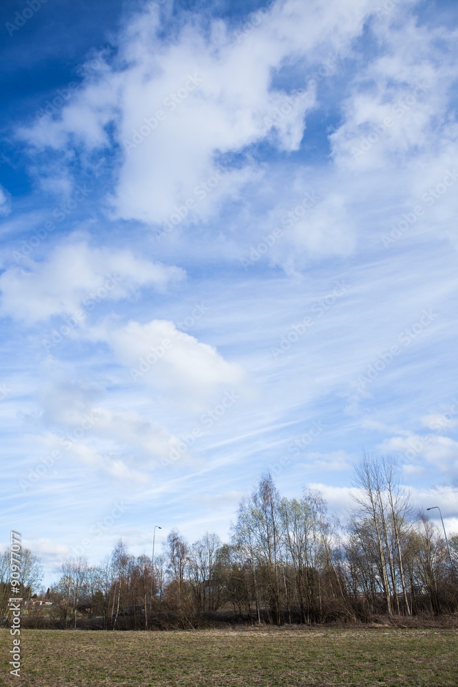 Long cirrus clouds skyscape