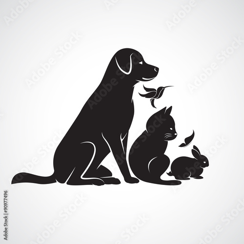 Vector group of pets - Dog, cat, bird,butterfly, rabbit, isolate © yod67