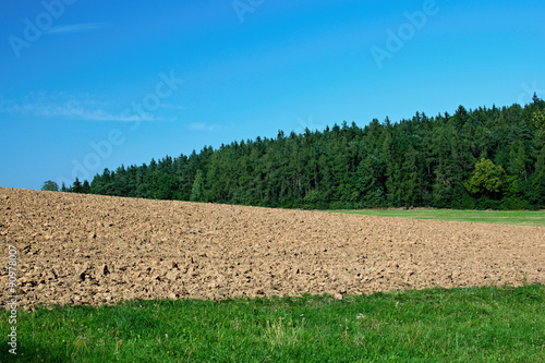 Country landscape