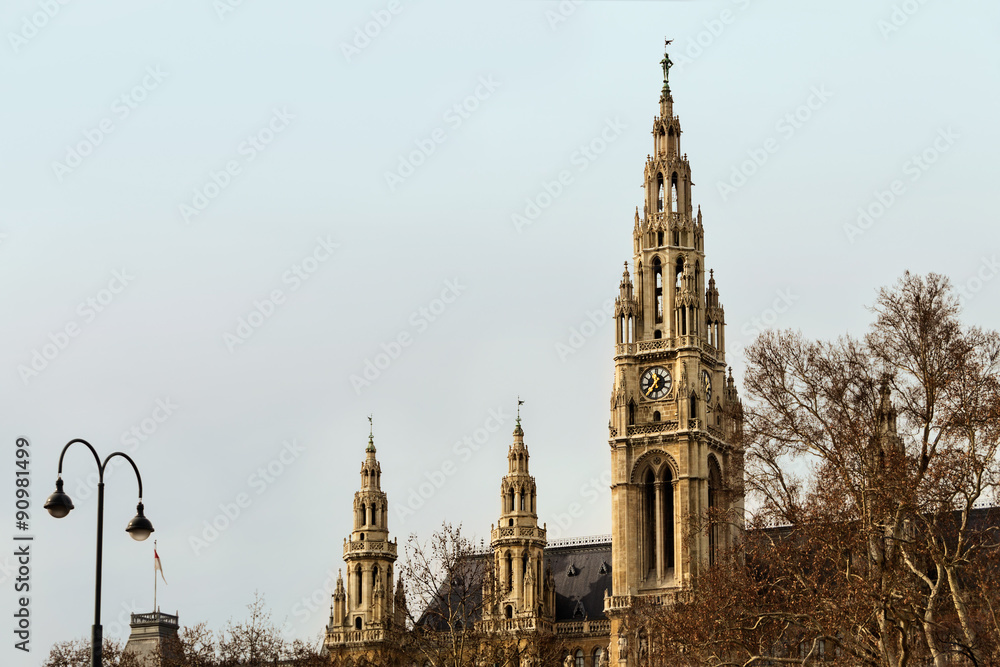 Town Hall (Wiener Rathaus) in the Winter. Vienna, Austria