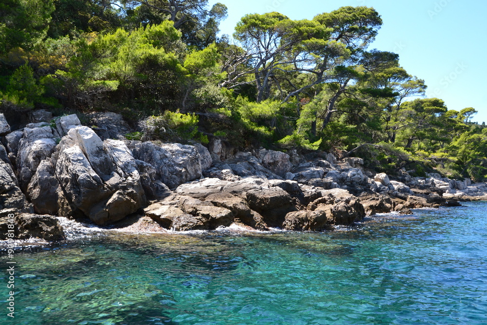 Obraz premium Croatia – Lokrum island