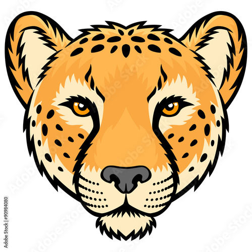 Cheetah