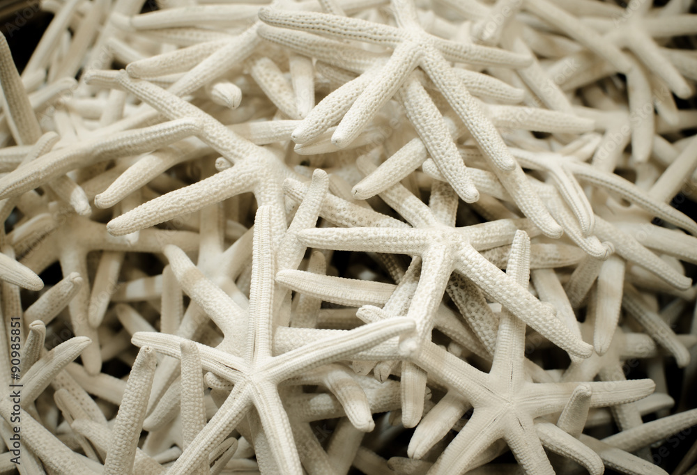 Close up of starfish used for texture and background, Soft and selective focus Close up of starfish used for texture and background, Soft and selective focus