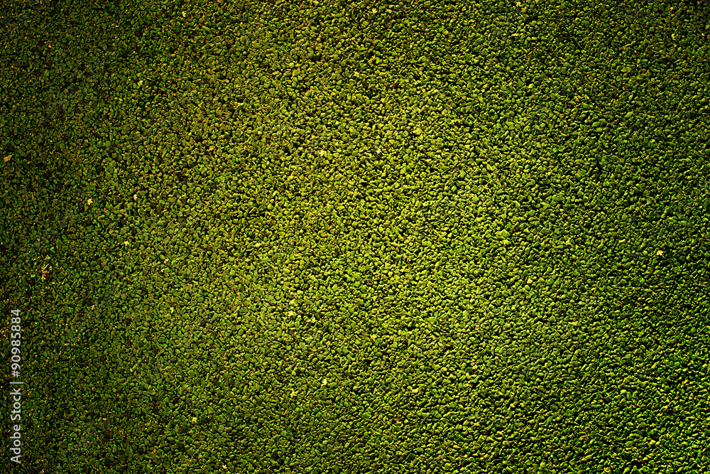 Obraz premium Green rubber texture - made of little pieces of rubber and grains of sand.