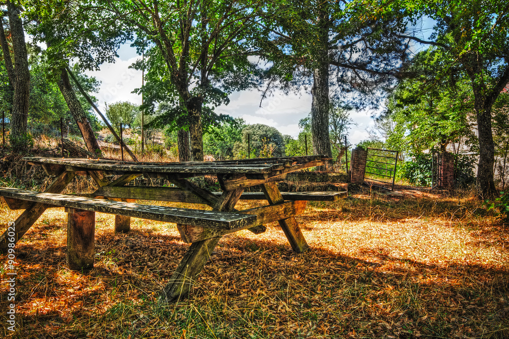 picnic table in Burgos forest