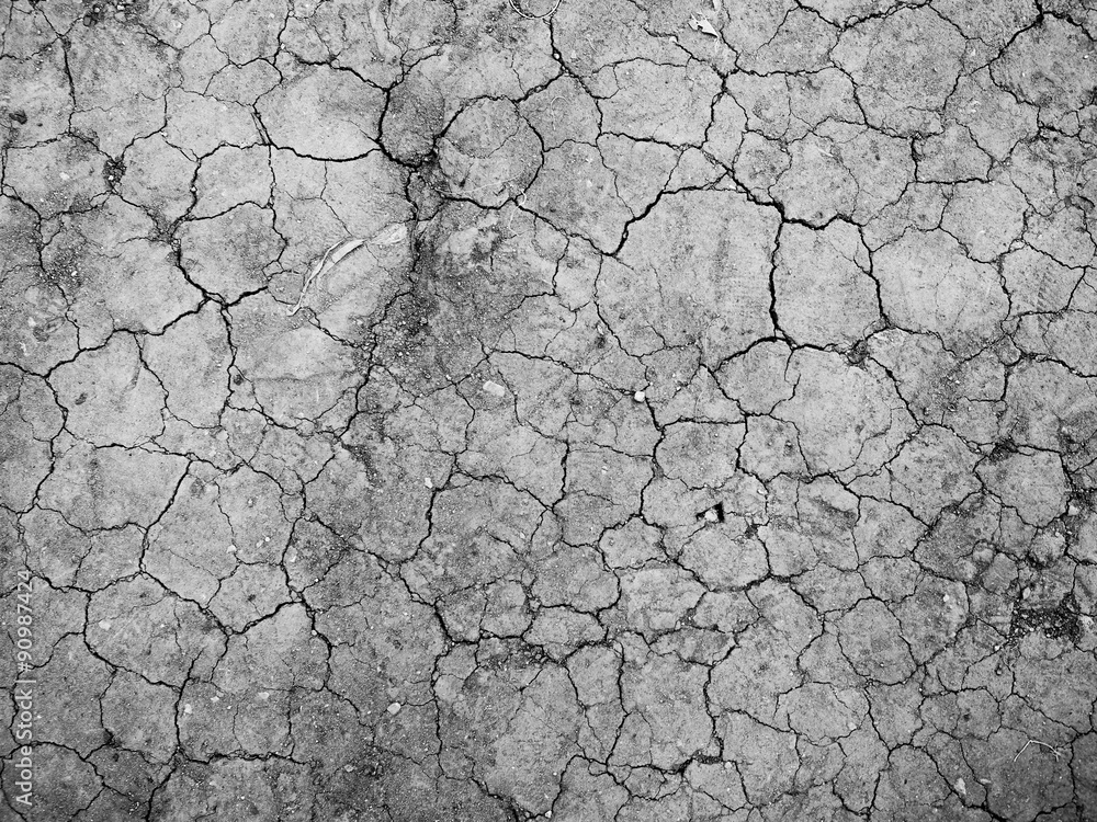 Fototapeta premium Dry cracked earth texture, vector background