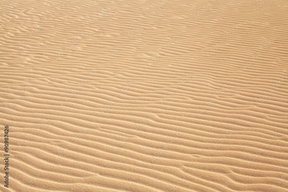 Fototapeta desert sand